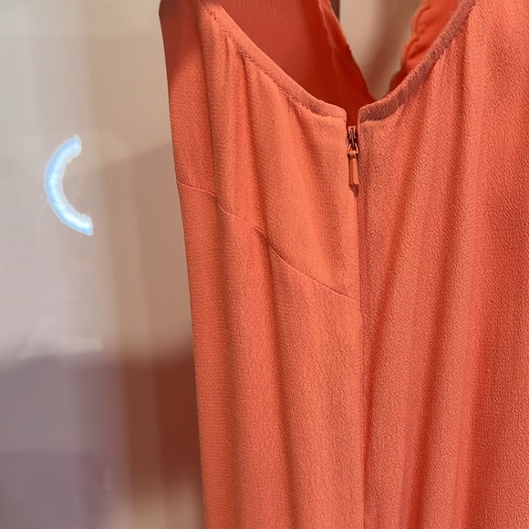 NEW Chelsea28 Scalloped Neck Shift Dress - Picture 7 of 7